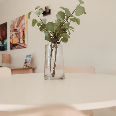 公寓 Casa Velha - Adults Friendly